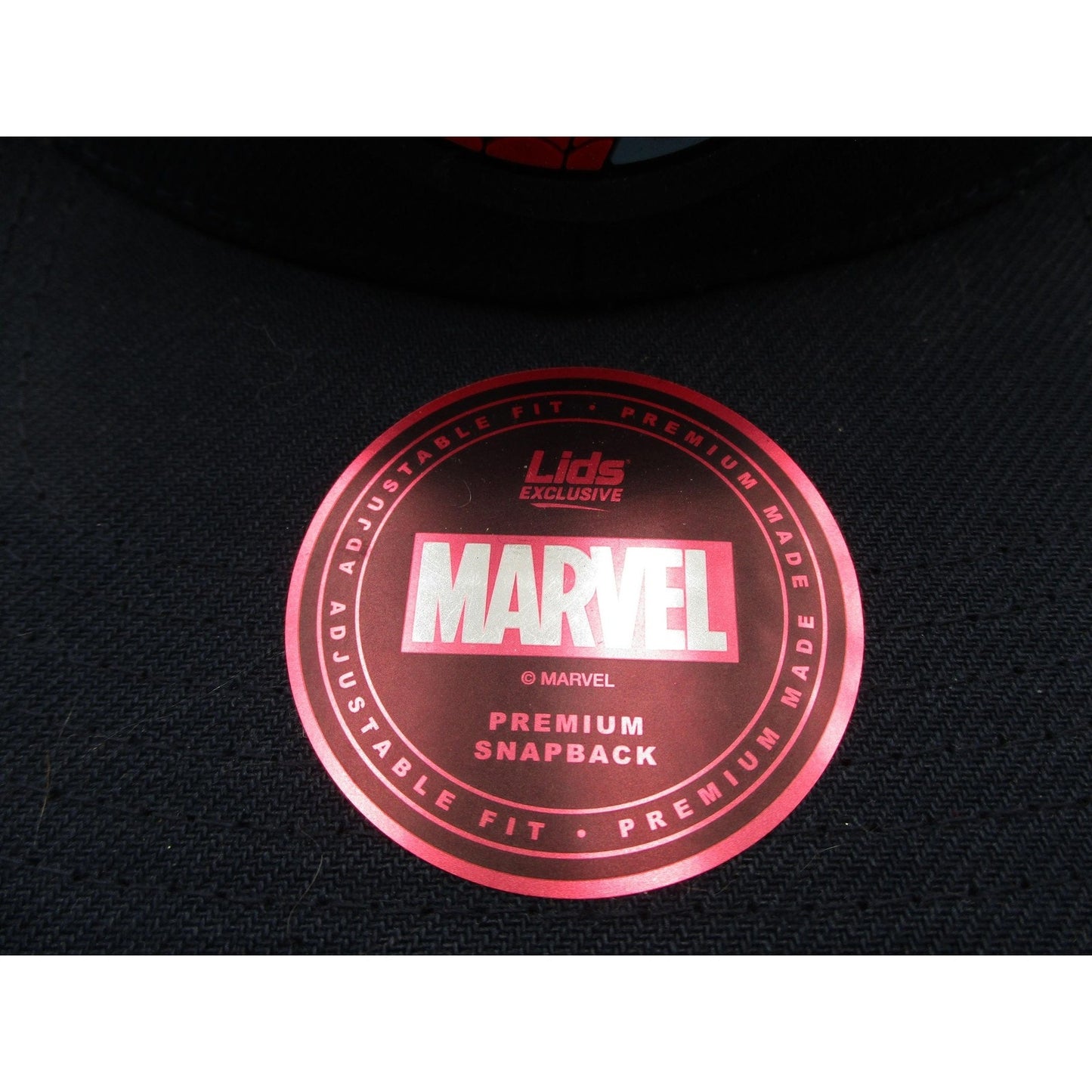 Marvel Spider Man Hat Cap Snap Back Mens One Size Blue Lids Exclusive Comics