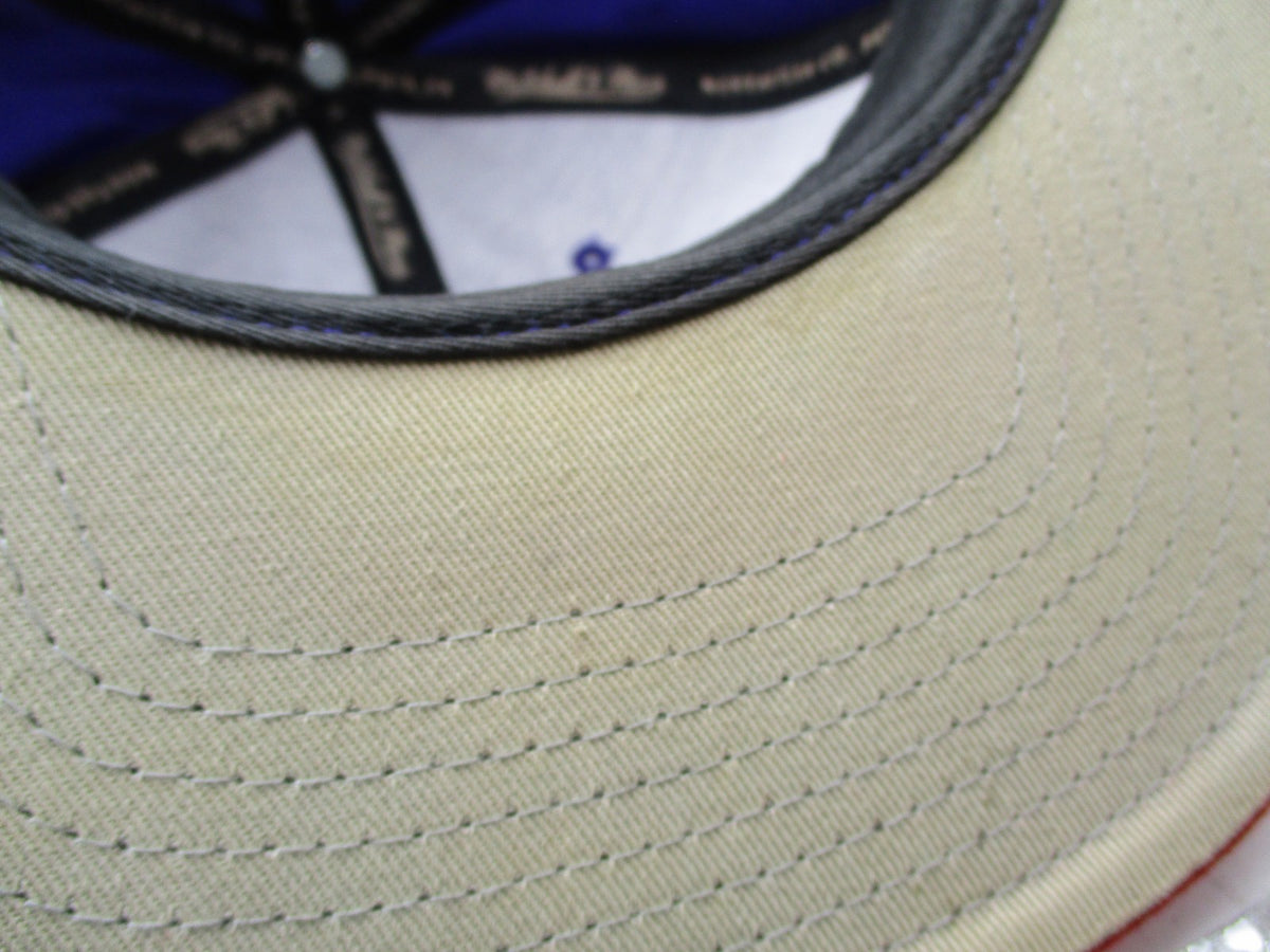 Toronto Raptors Hat Cap Snap Back One Size Purple NBA Basketball Mitchell Ness11