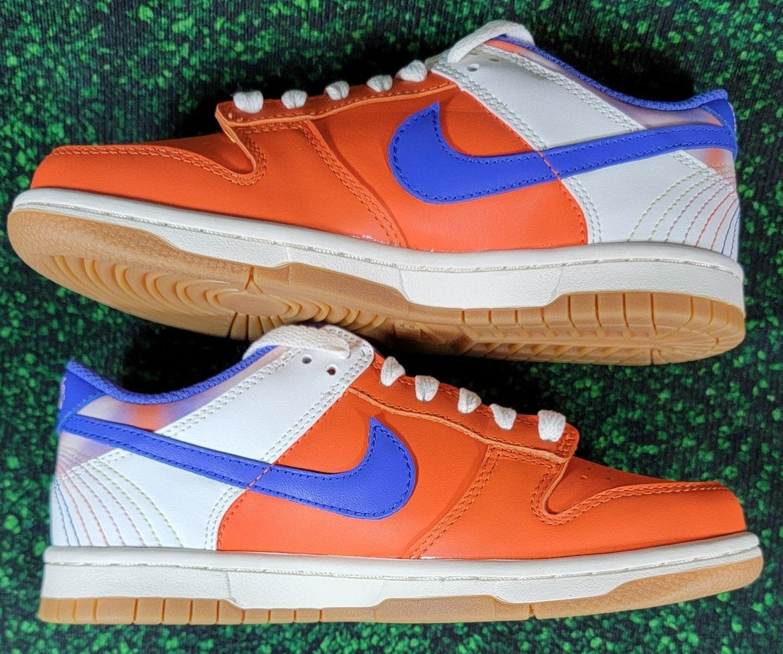 Nike Dunk Low SE GS 'Everything You Need' FN0600-801