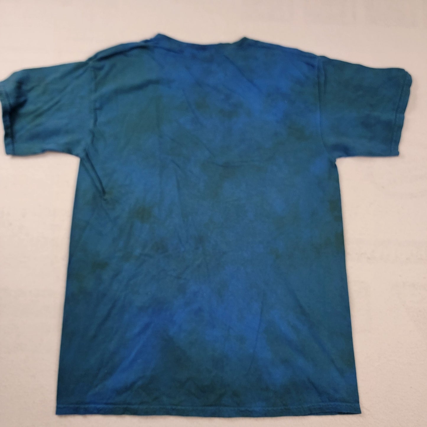 The Mountain “Find 13 Black Bears” Graphic Tee Blue TieDye Large Cotton