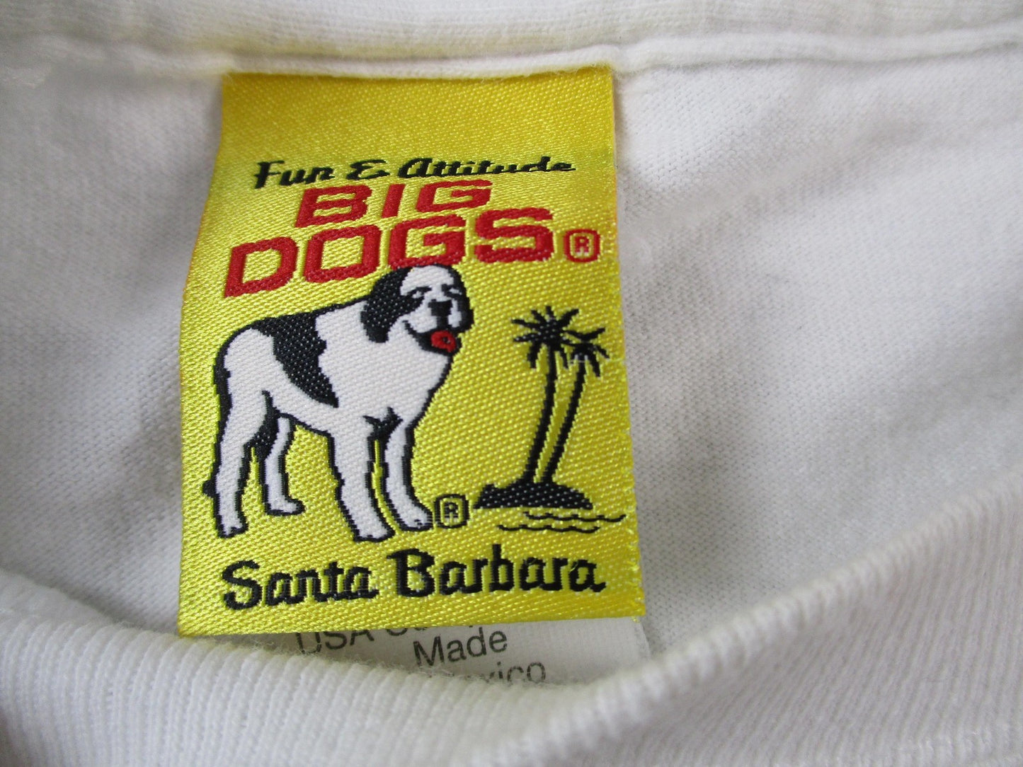 Vintage Big Dogs Shirt Mens XL White Polish My Rod Hot Rod Car Graphic 2000s3