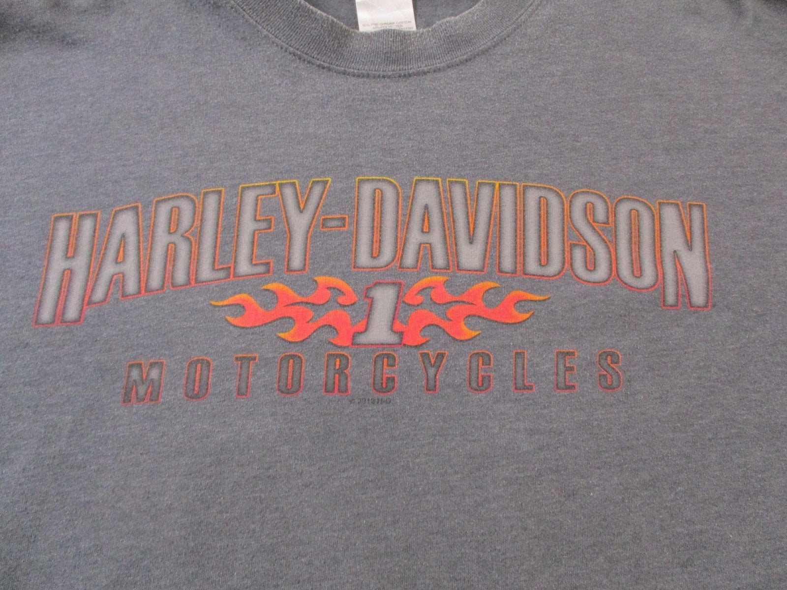 Harley Davidson Beijing China Flame Sleeve Hanes Beefy Long Sleeve XL 15545