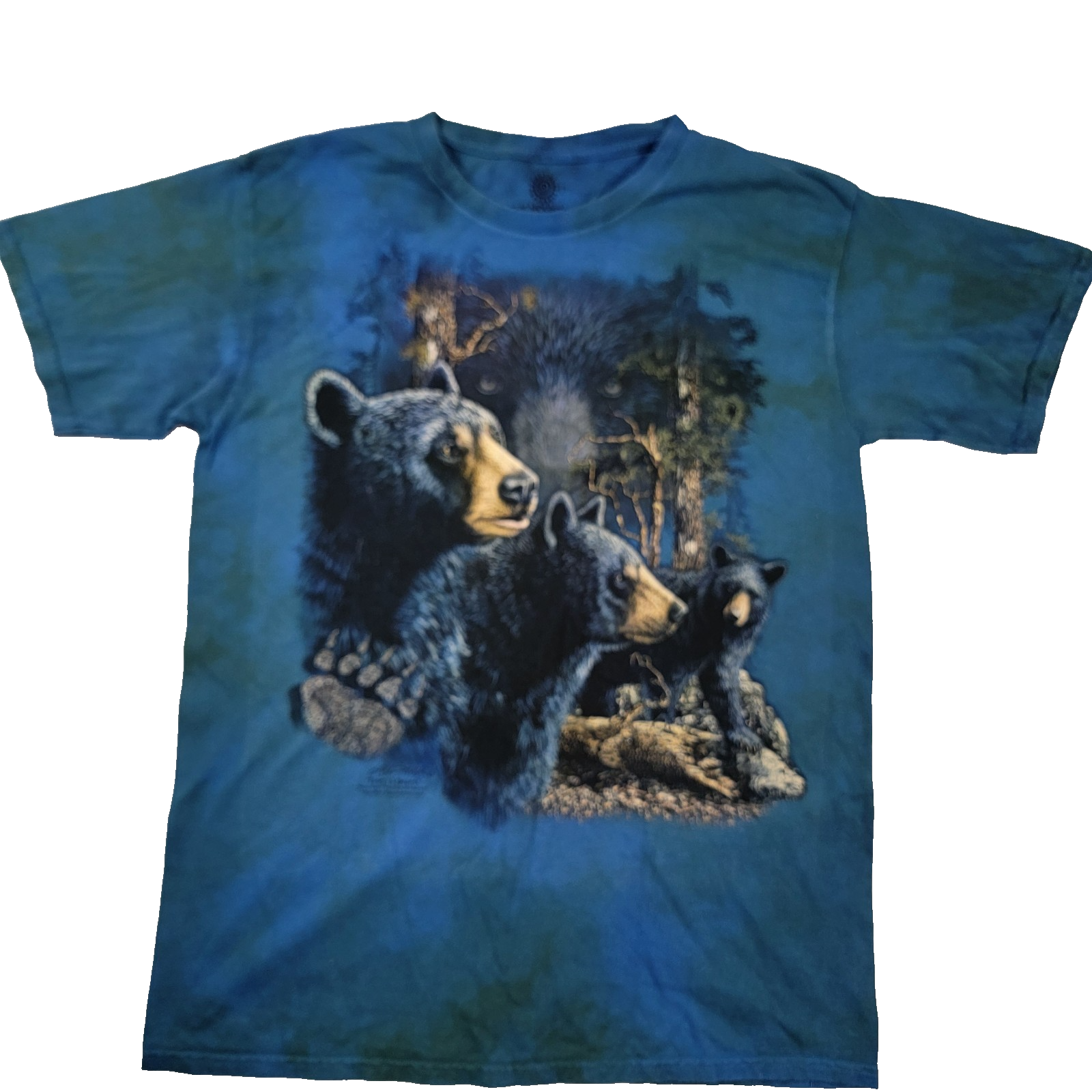 The Mountain “Find 13 Black Bears” Graphic Tee Blue TieDye Large Cotton