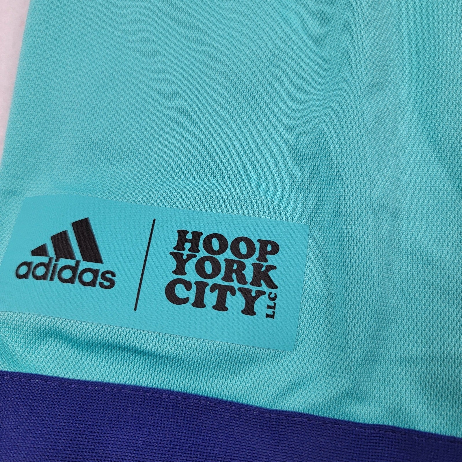 Adidas Women's Teal Hoop York City Shorts  Size M