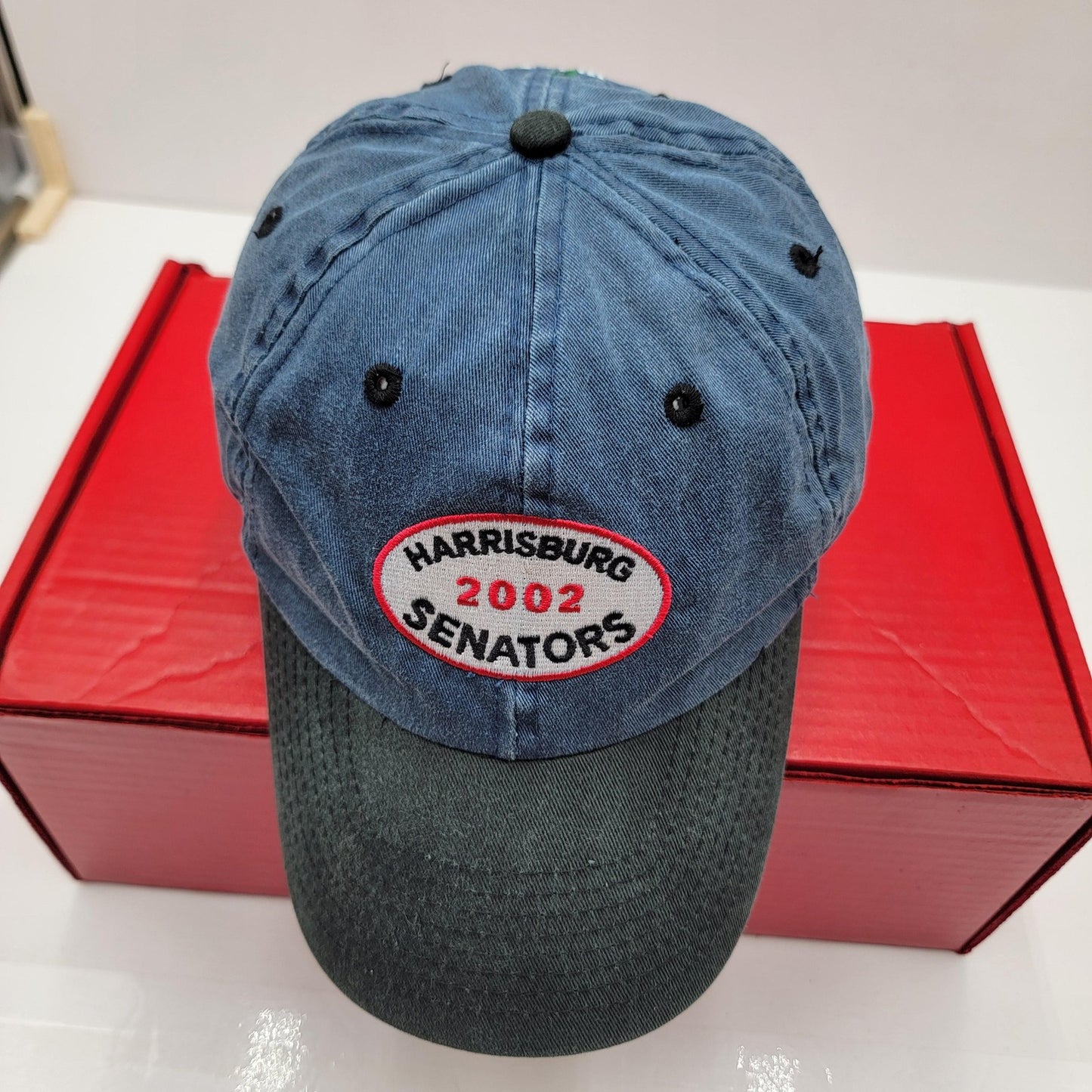 Vintage Harrisburg Senators Hat Cap Strap Back Blue Gray MILB Baseball Mens 20021