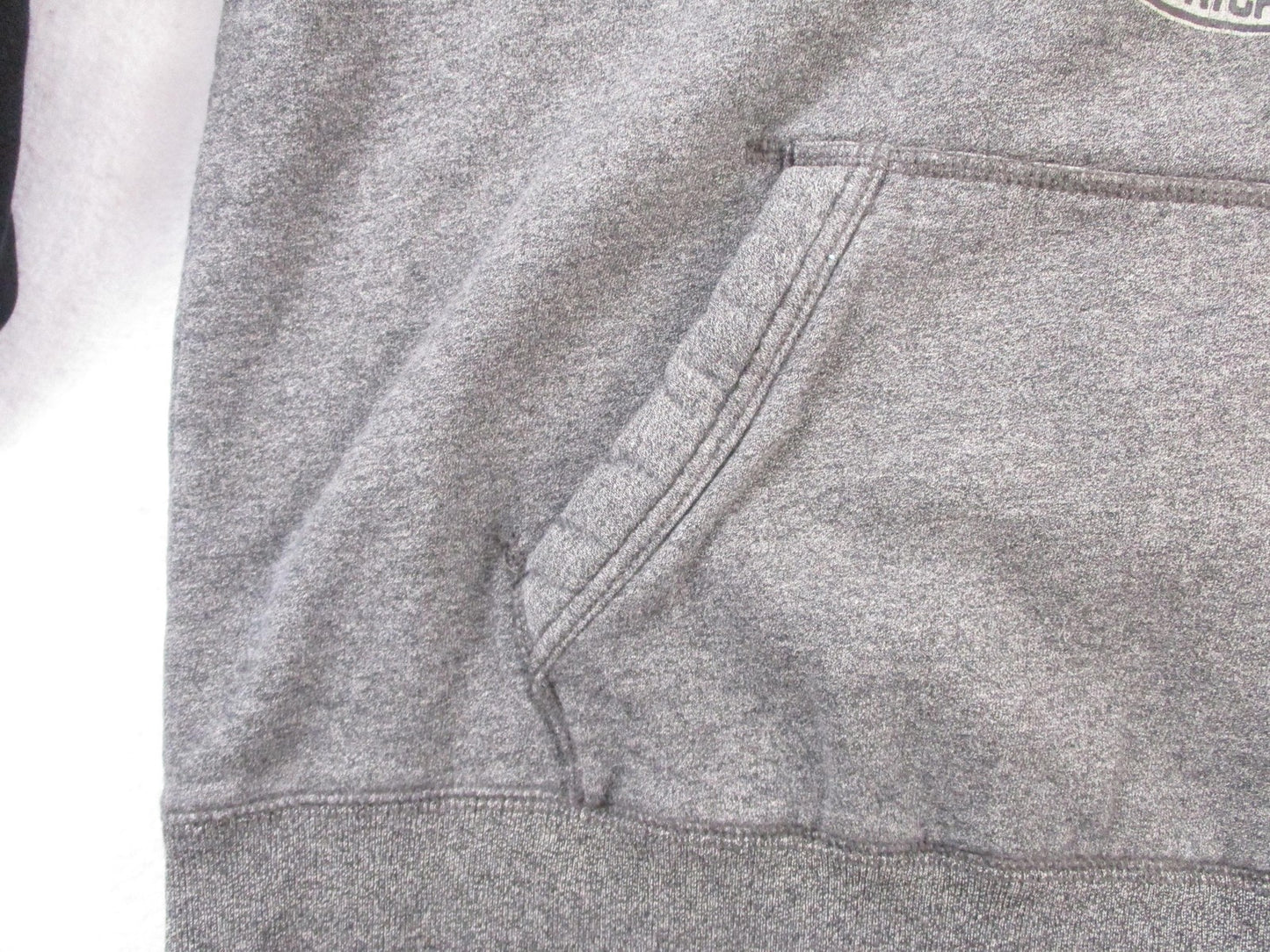 American Eagle Outfitters Hoodie Mens Large Gray Fleece Sweatshirt Eagle Graphic5