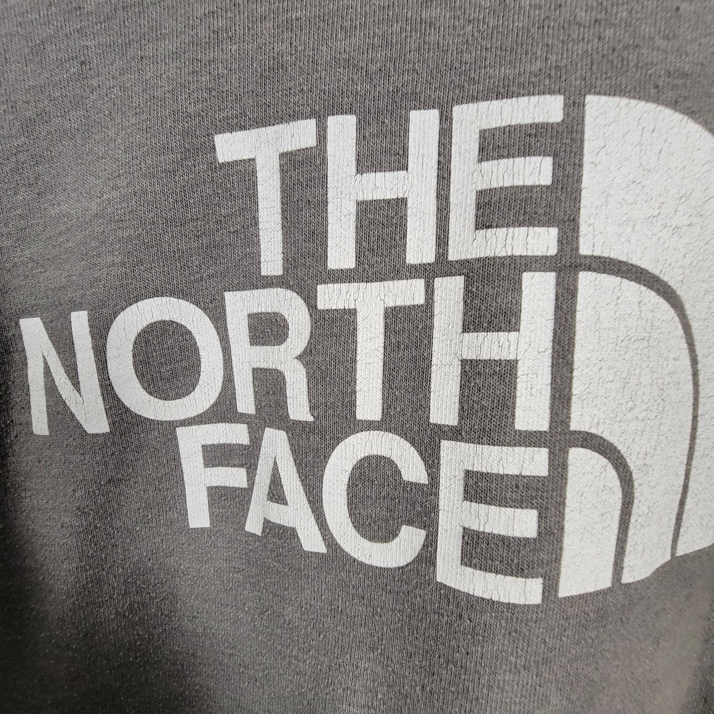 The North Face Men’s Large Gray Pullover Hoodie Logo Spellout Fleece