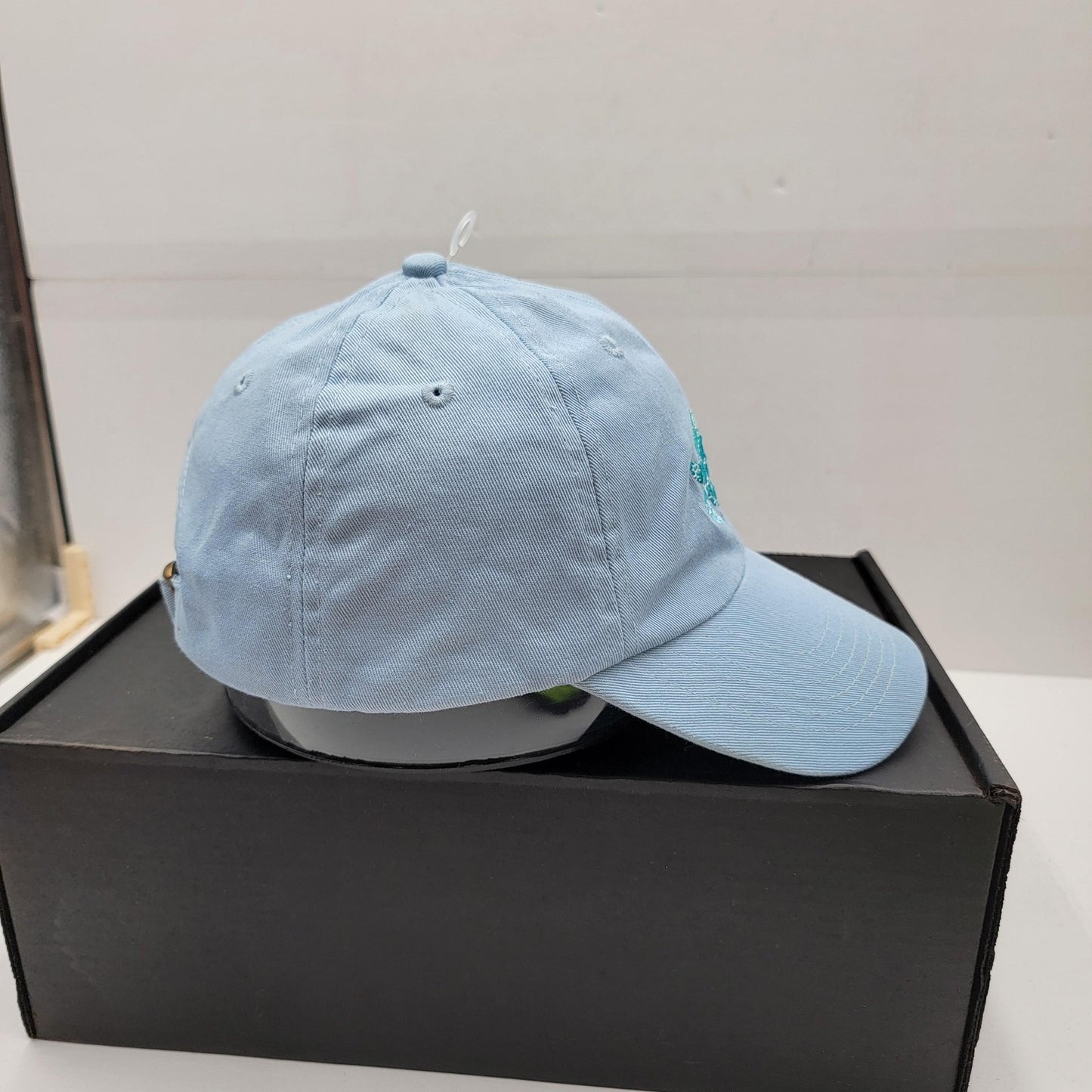 Shedd Aquarium Hat Cap Strap Back Light Blue Embroidered Save The Turtles Mens6