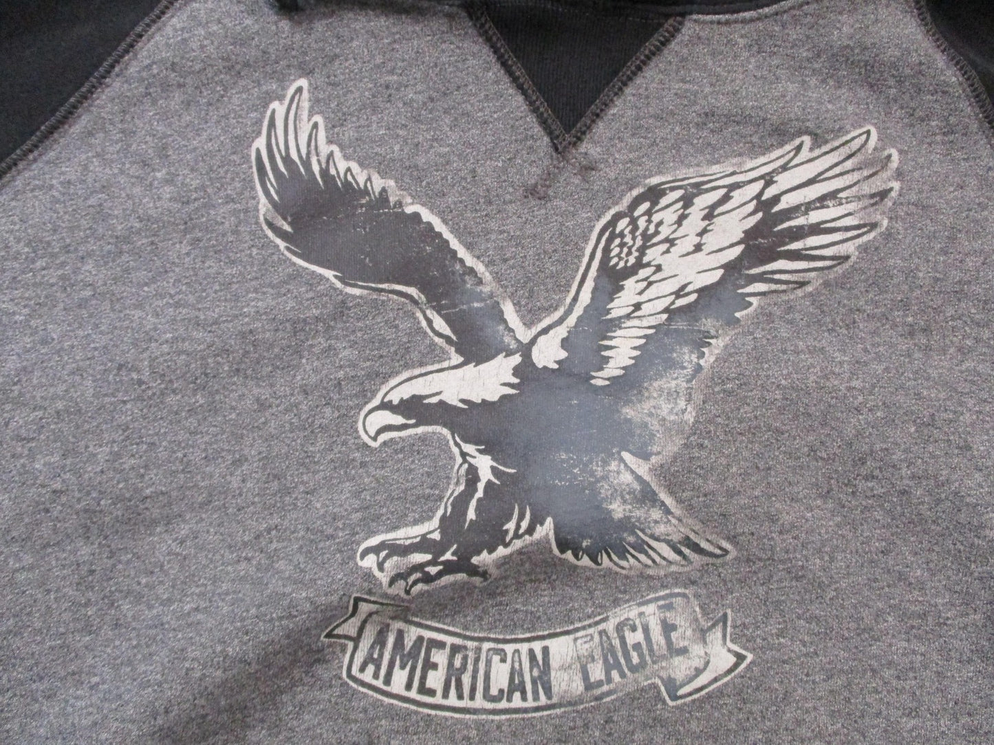 American Eagle Outfitters Hoodie Mens Large Gray Fleece Sweatshirt Eagle Graphic3