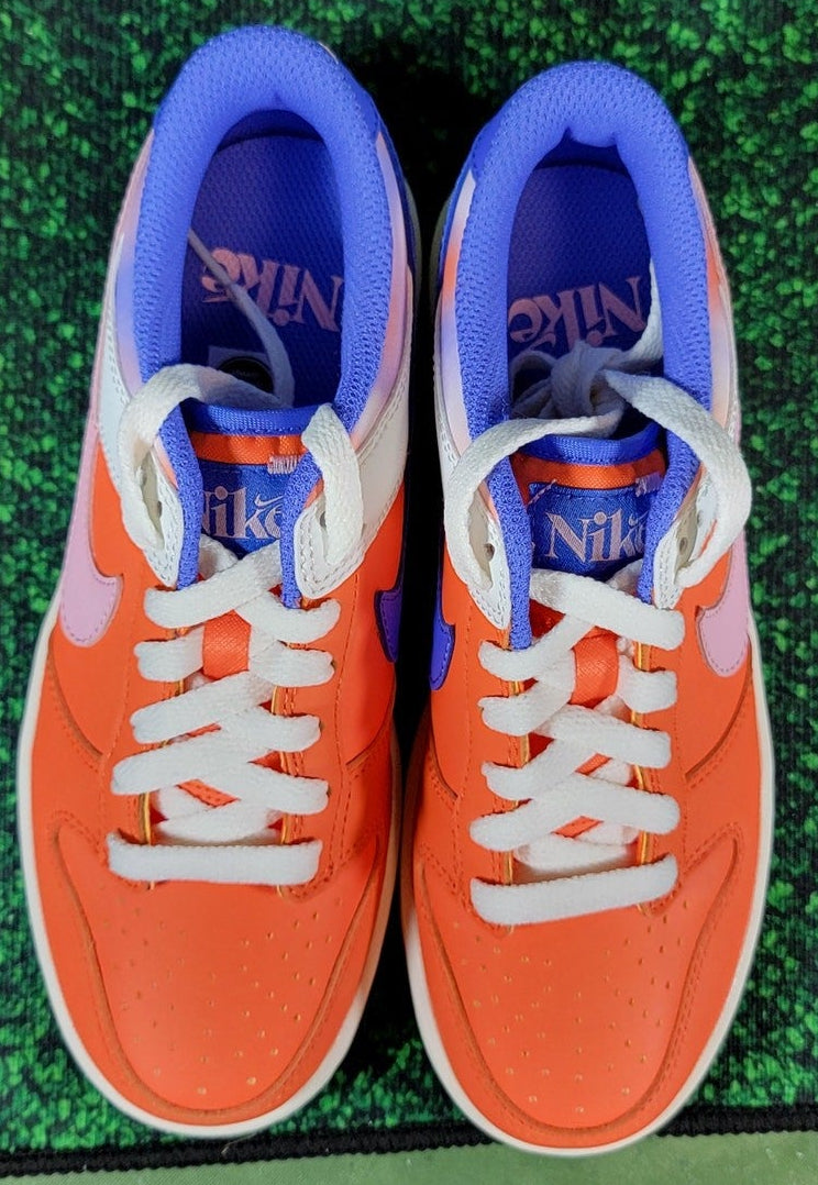 Nike Dunk Low SE GS 'Everything You Need' FN0600-801