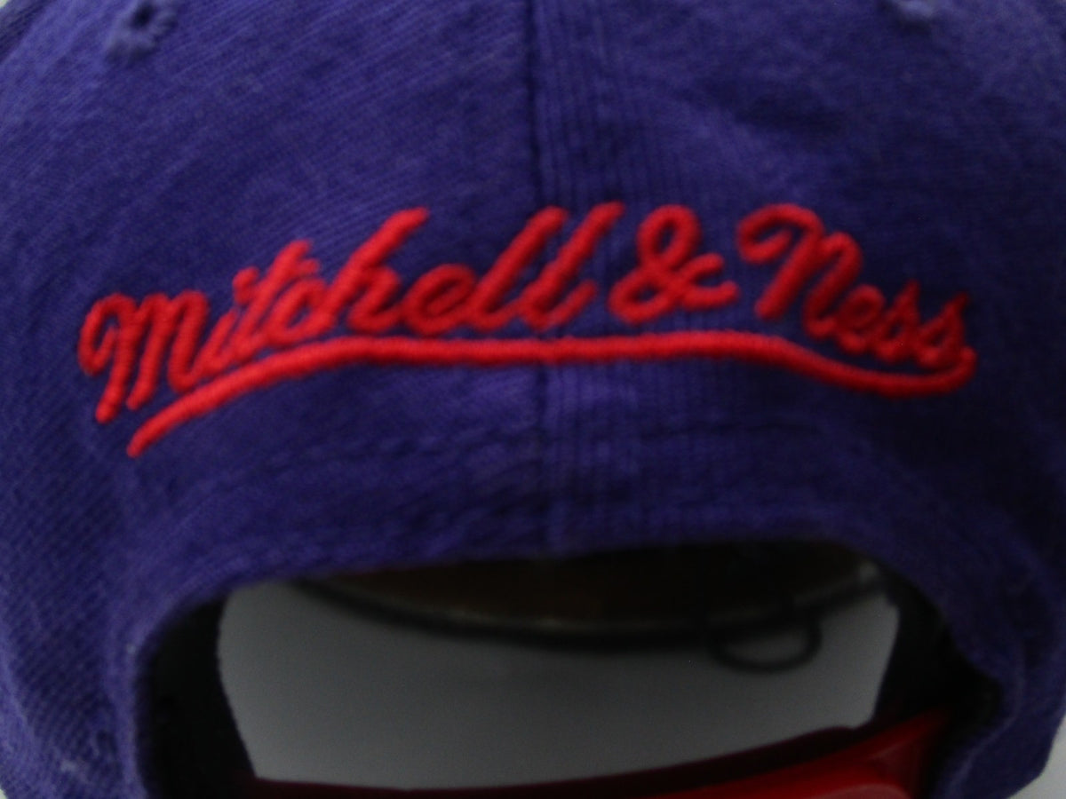 Toronto Raptors Hat Cap Snap Back One Size Purple NBA Basketball Mitchell Ness6