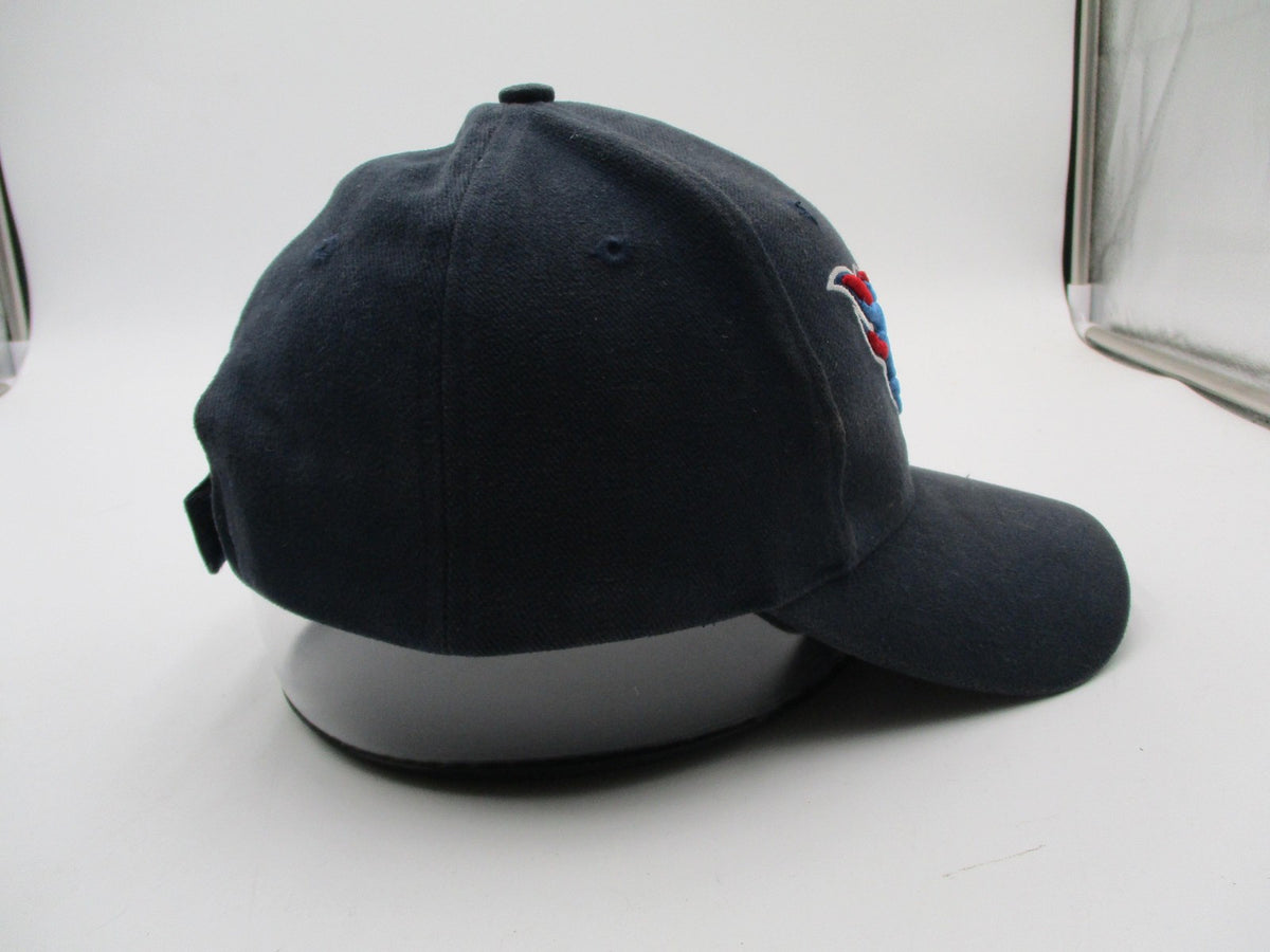 Tennessee Titans Hat Cap Strap Back One Size NFL Football Mens Logo Athletic7
