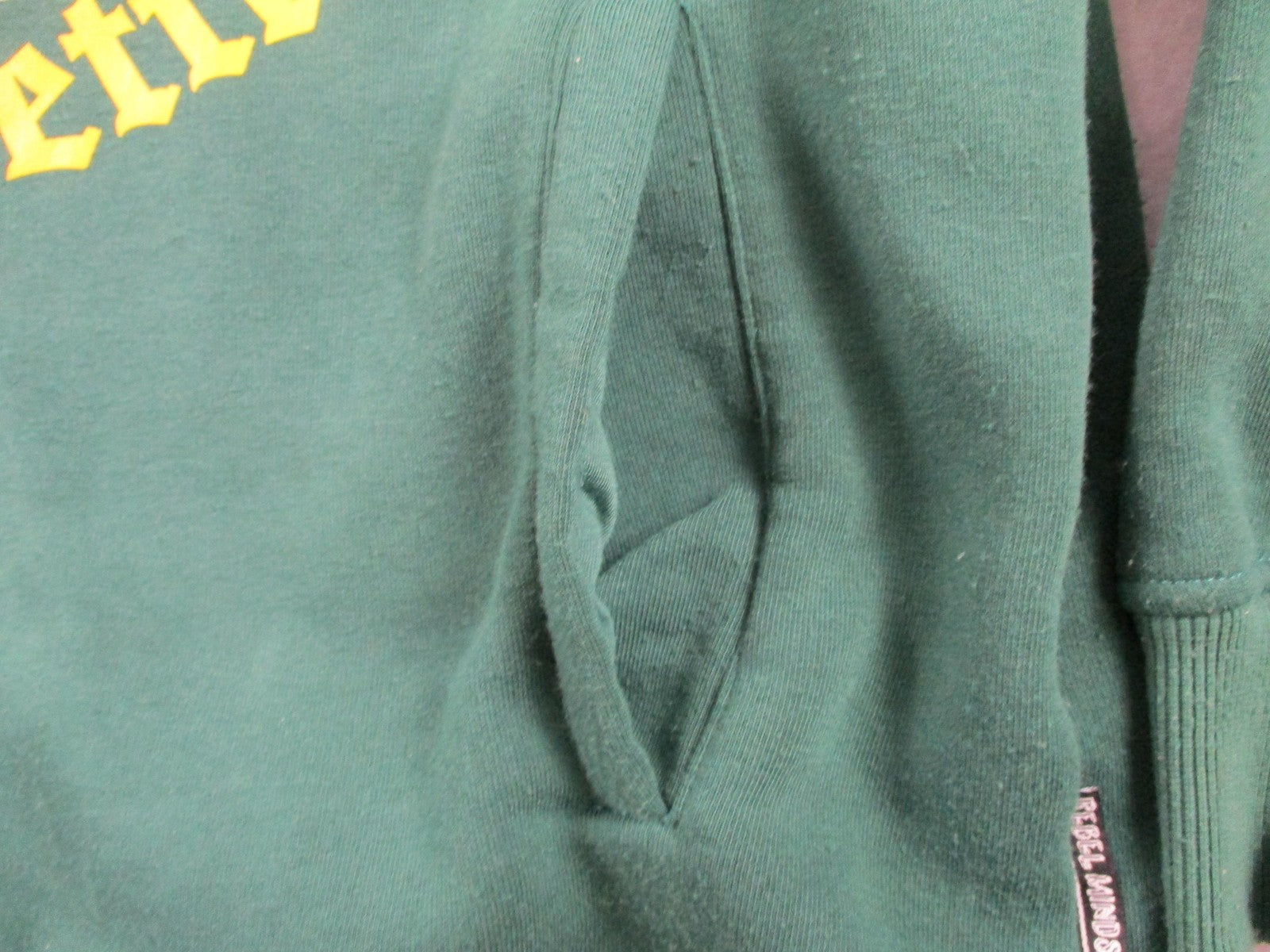 Rebel Minds Hoodie Mens XL Green Pullover Sweatshirt Fearless Rhinestone Graphic8