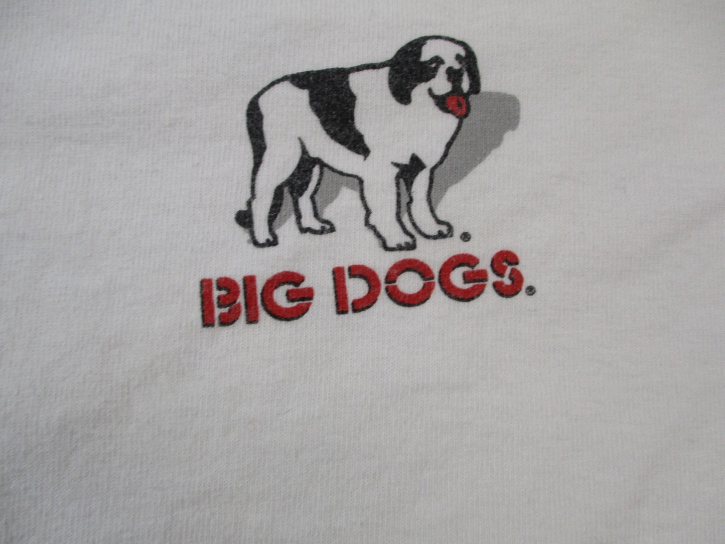 Vintage Big Dogs Shirt Mens XL White Polish My Rod Hot Rod Car Graphic 2000s2