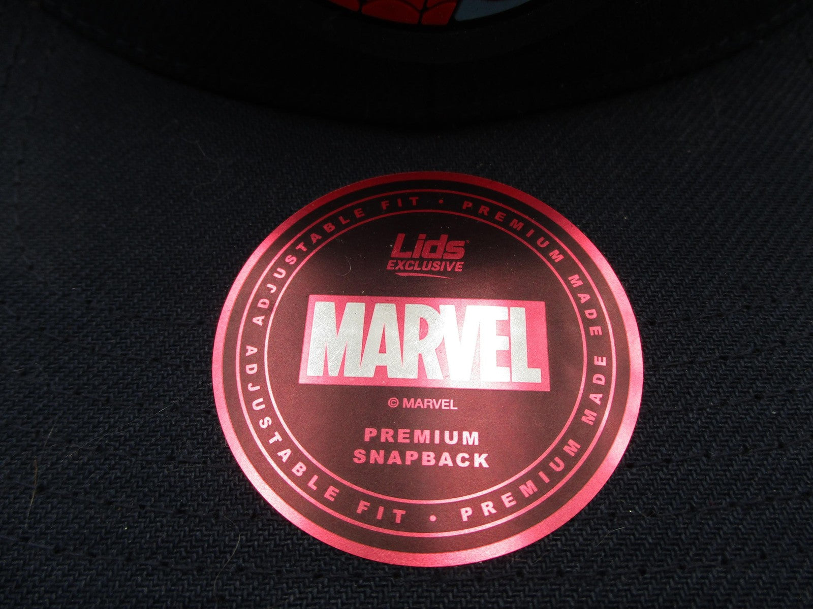 Marvel Spider-Man Hat Cap Snap Back Mens One Size Blue Lids Exclusive Comics1