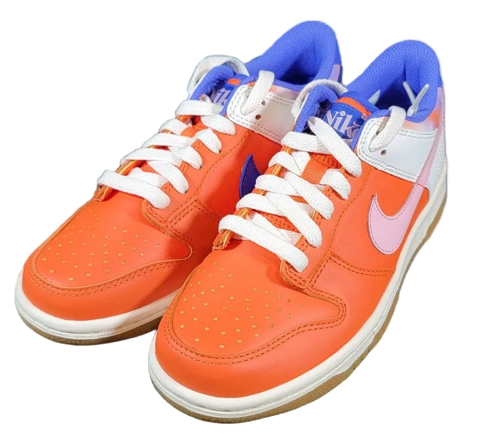 Nike Dunk Low SE GS 'Everything You Need' FN0600-801