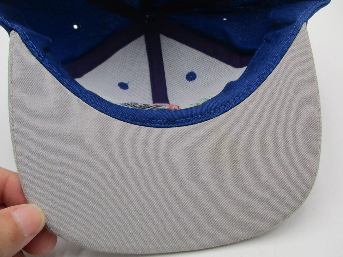 Dave Blaney 77 Jasper Hat Cap Snap Back One Size Blue NASCAR Auto Racing Mens9