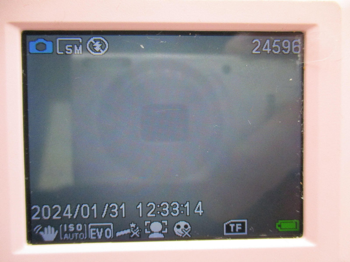 Better Life DC403 Pink Digital Camera Compact 1080P 16X Zoom Face Smile Detect7