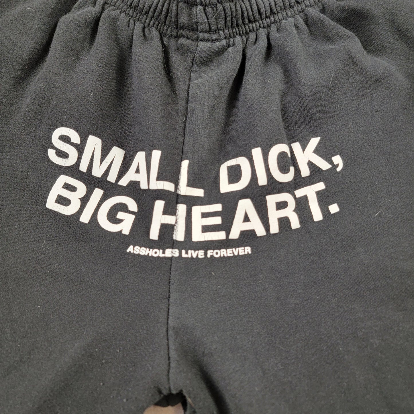 Assholes Live Forever Graphic Sweatpants | Size Small | Black | Humor Streetwear | Pre-Owned