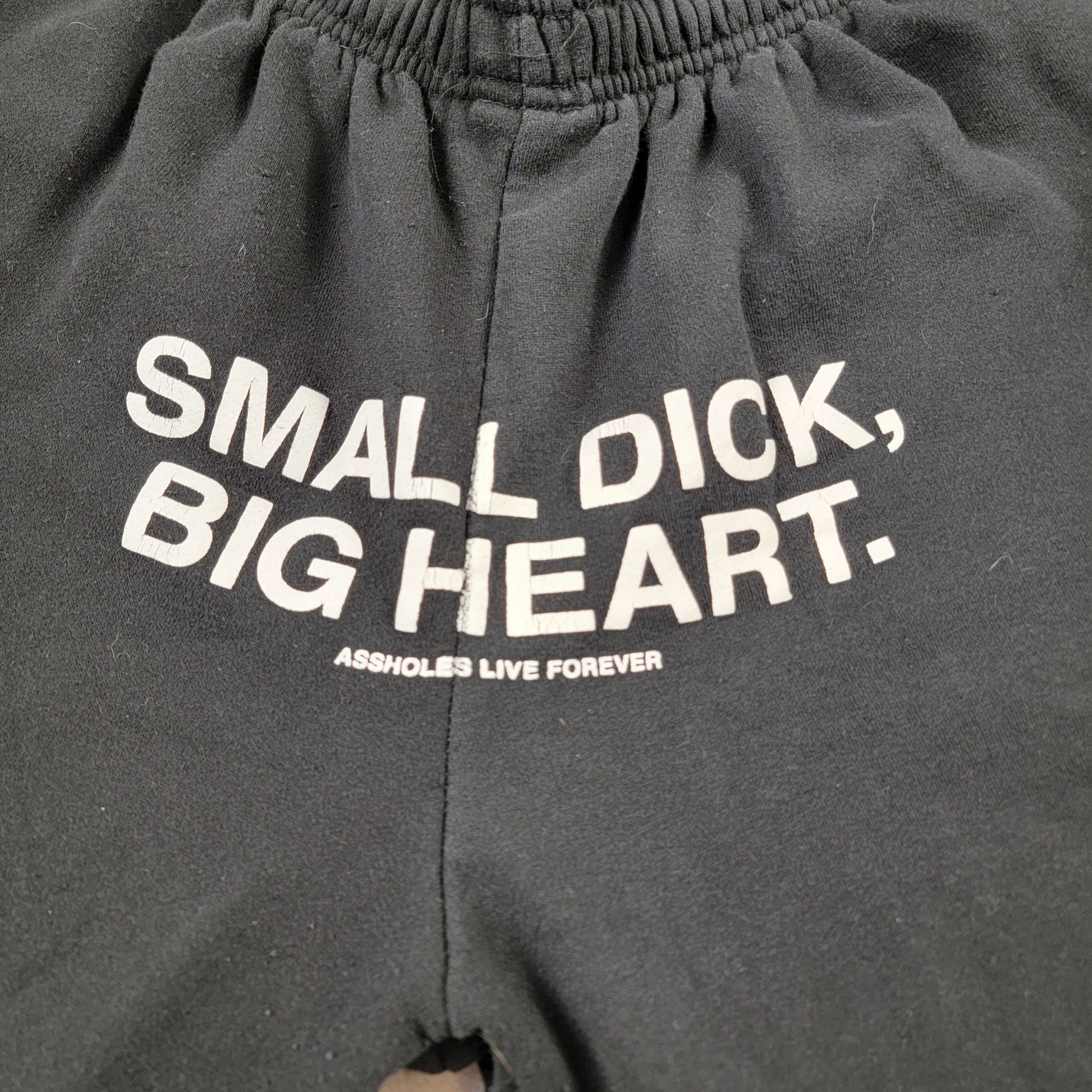 A-holes Live Forever Mens Sweatpants Small Black Graphic Jogger Preowned1